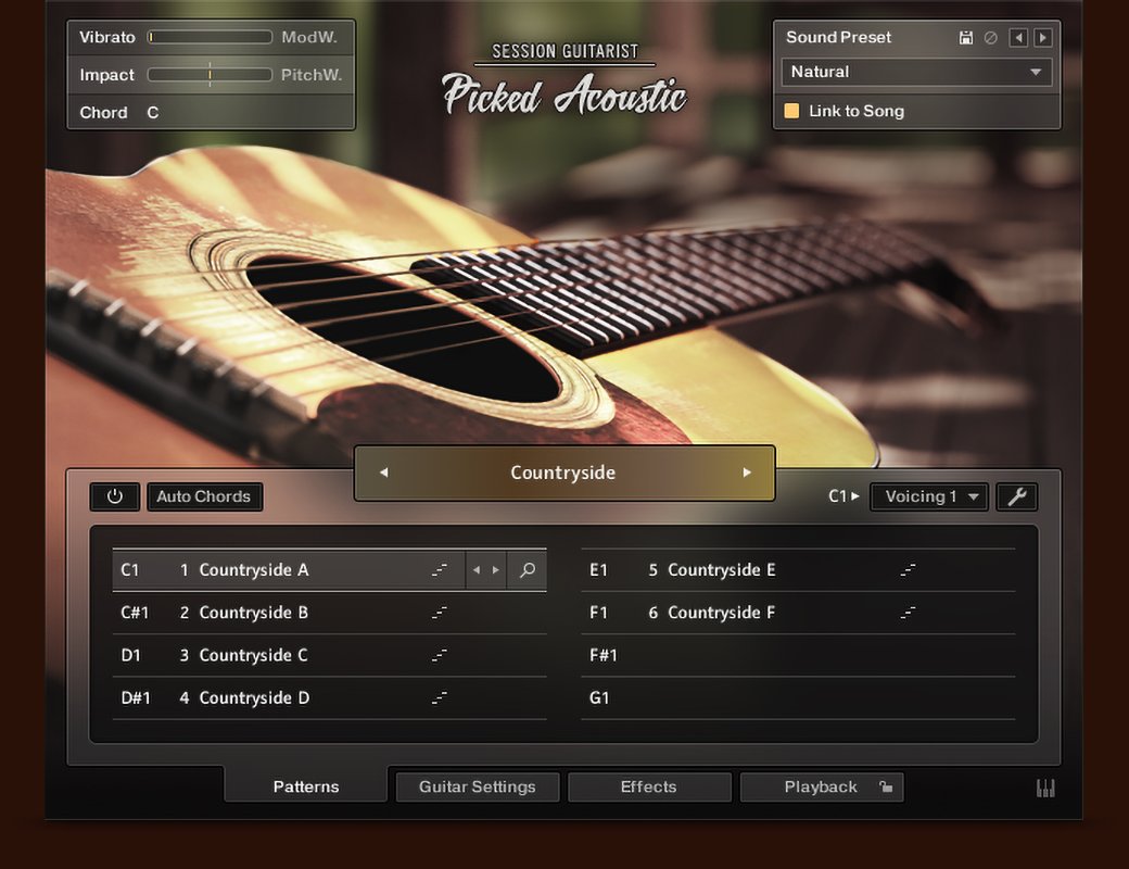 Native Instruments Session Guitarist Picked Acoustics